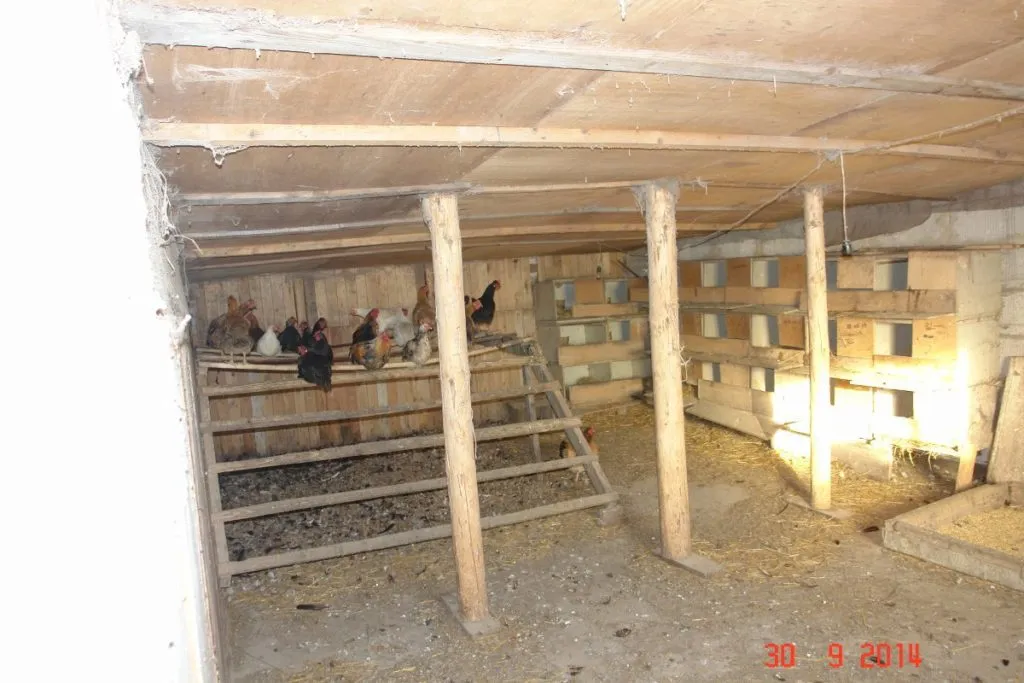 личное подсобное хозяйство (ферма) в Мосальске 24