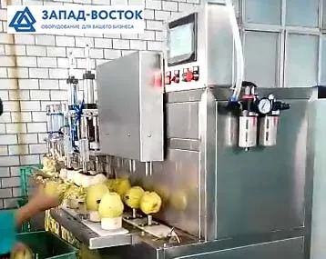 машина для чистки яблок 400 кг/ч в Москве